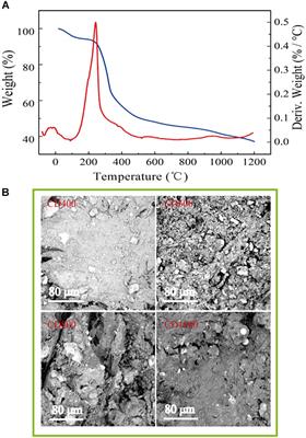 Carbonized Cow Dung as a High Performance and Low Cost Anode Material for Bioelectrochemical Systems